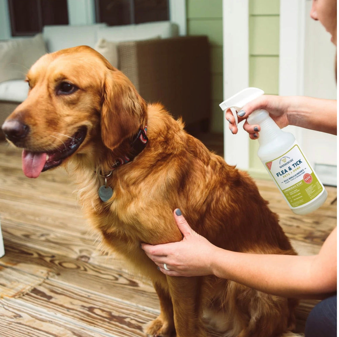 Wondercide - Spray contra pulgas, garrapatas y mosquitos para mascotas y el hogar (16 oz, aroma a limoncillo)