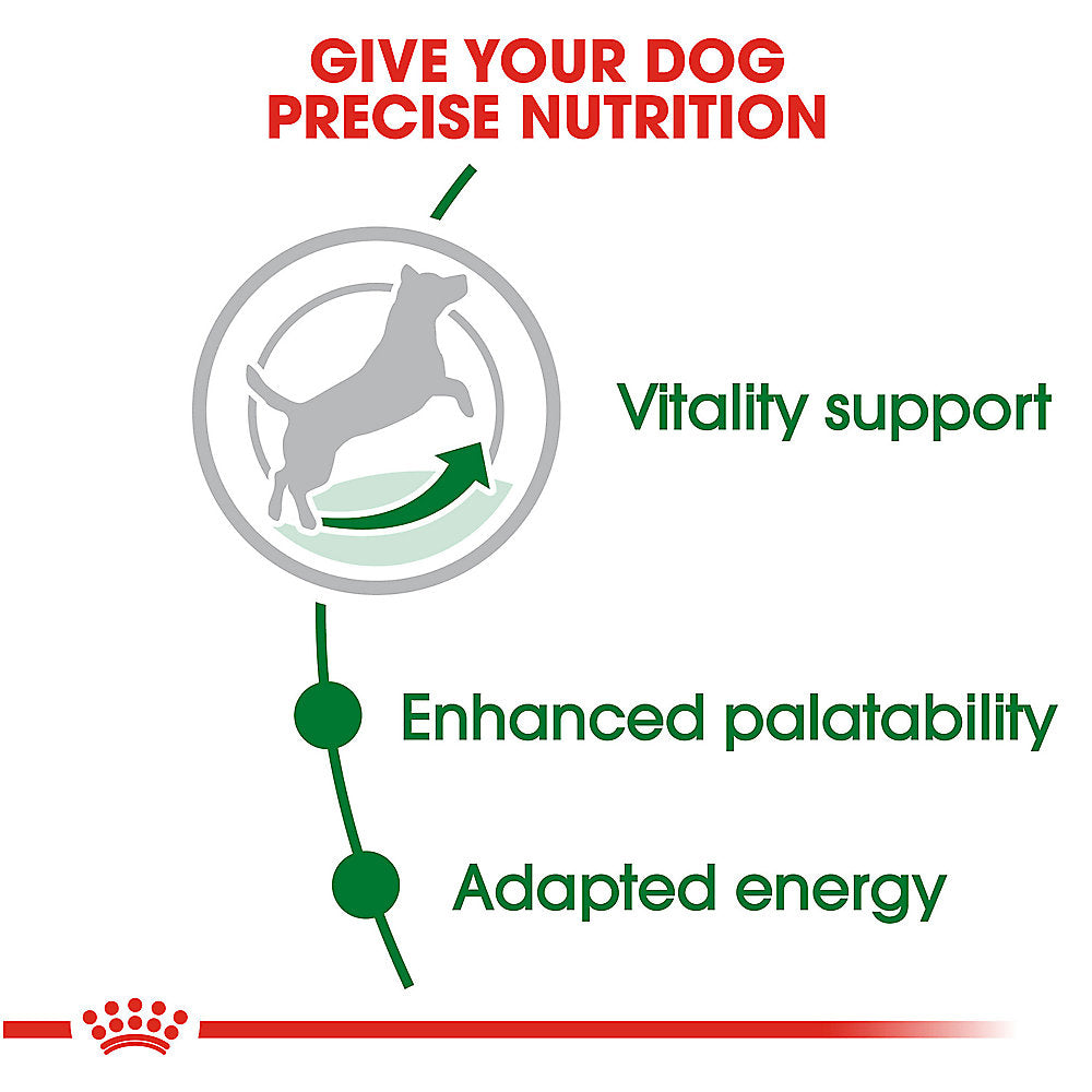 Royal Canin Small Mature +8