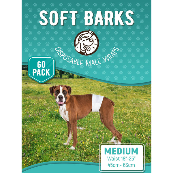 Medium male dog outlet diapers