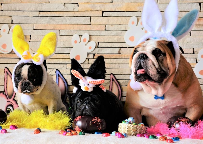 Para que pasen una Pascua segura