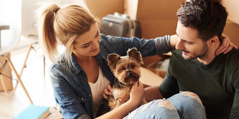 Estudios revelan que tener un perro reduce el riesgo de muerte prematura