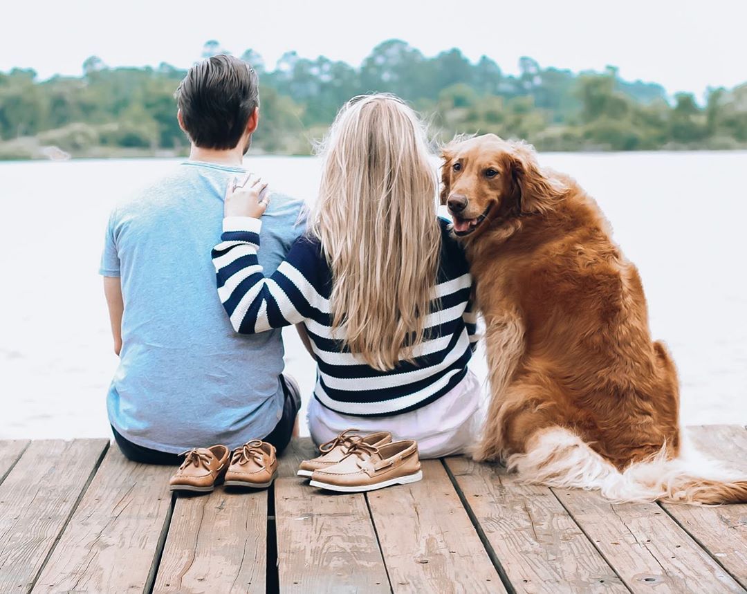 ¿Un perro puede tener dos dueños?