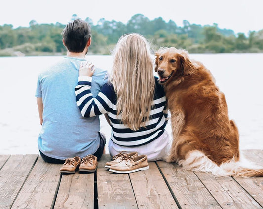 ¿Un perro puede tener dos dueños?