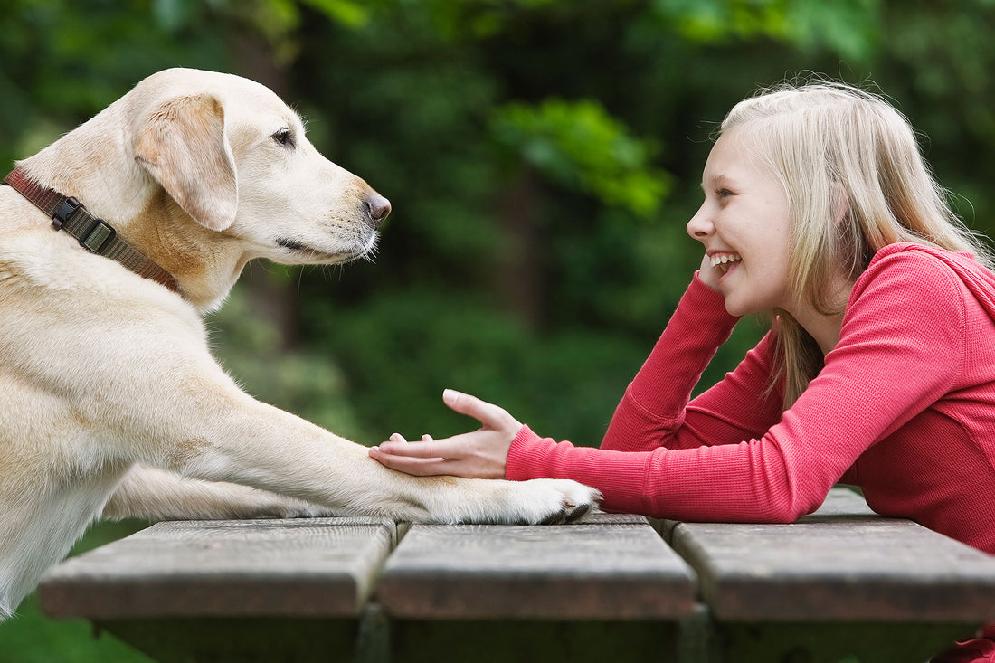 ¿Le hablas a tu perro? No estás loco, él te entiende (lo dice la ciencia)