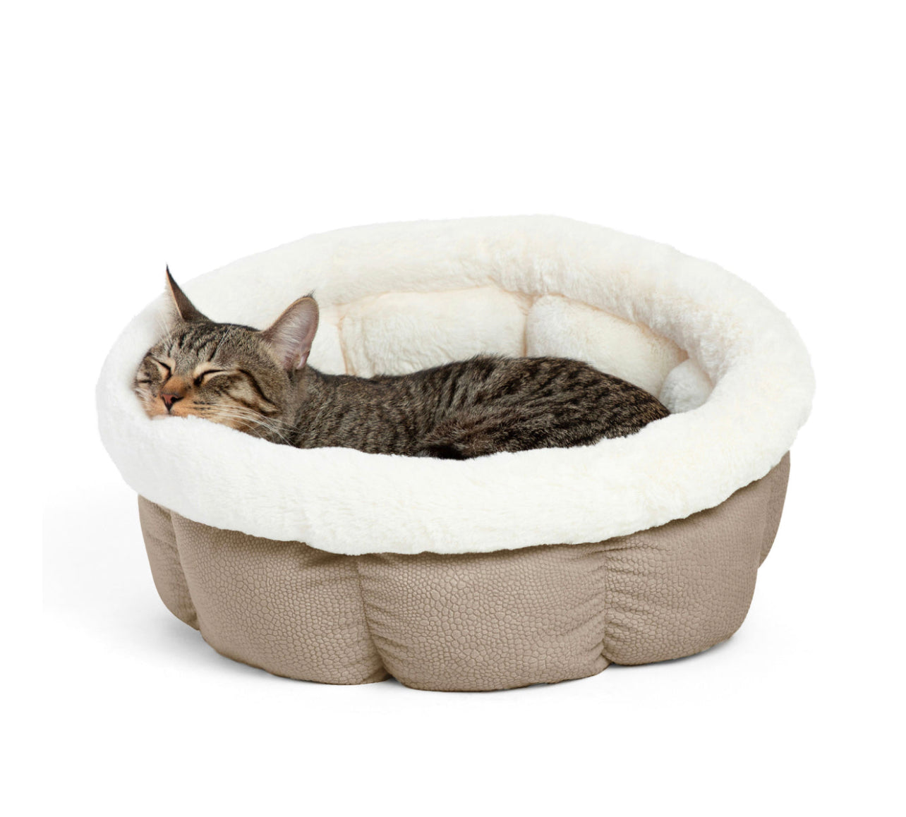 Cama para gato