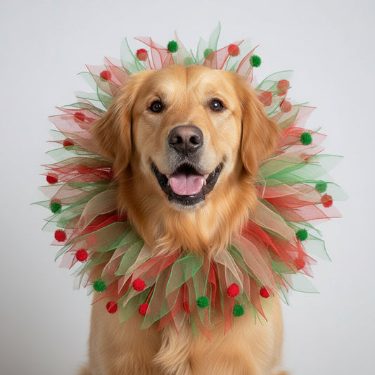 Holiday Collar