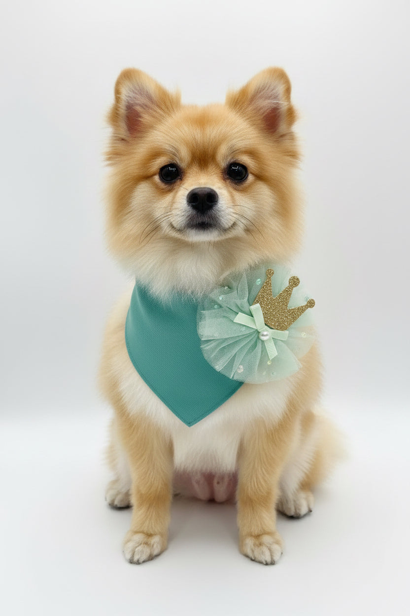 Collar Pañoleta