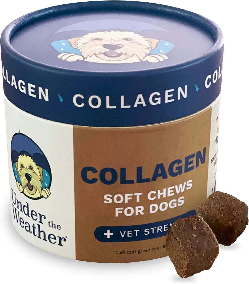 Collagen Chews, el complemento nutricional