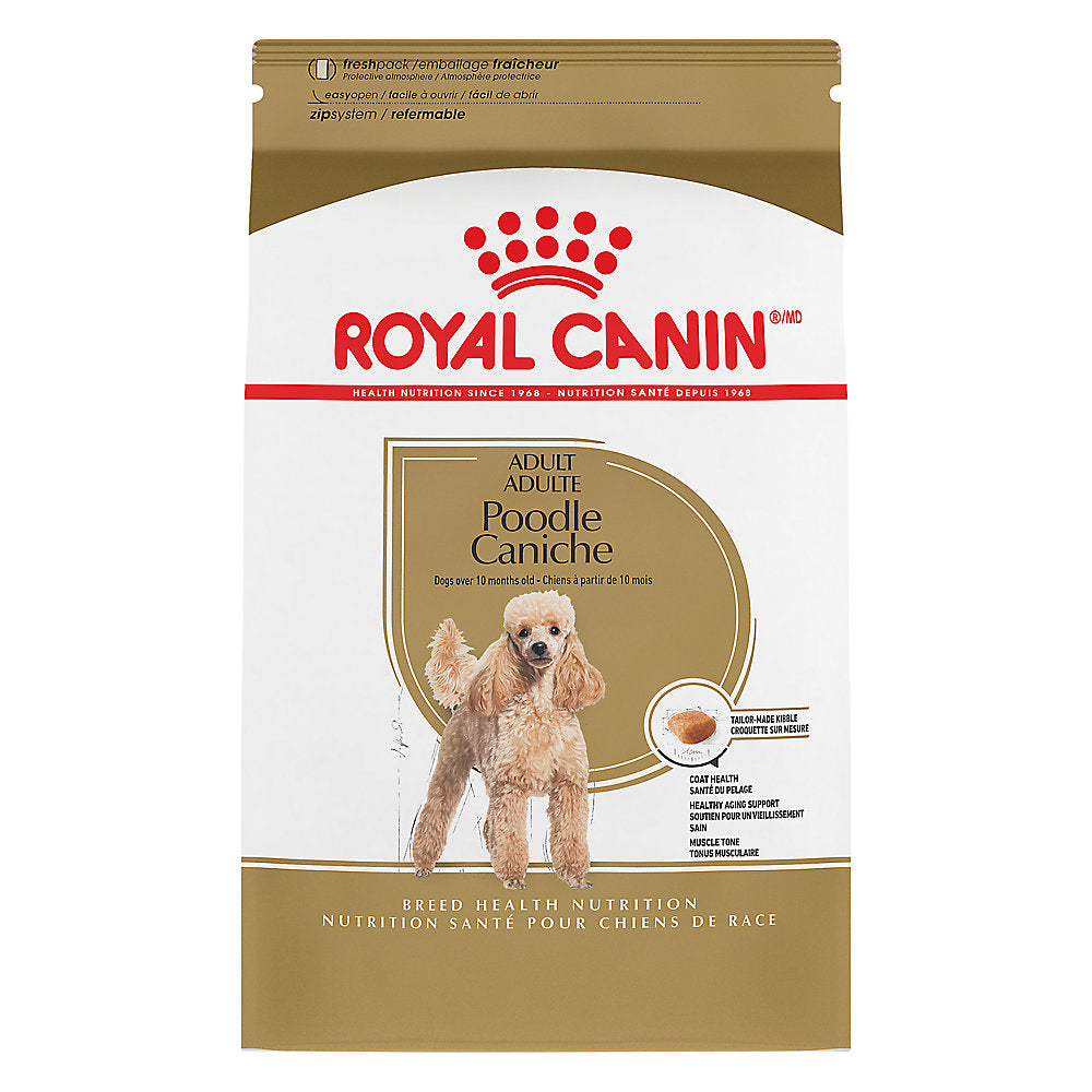 Royal Canin Poodle Adulto