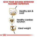 Royal Canin Golden Retriever Adulto 30 lbs
