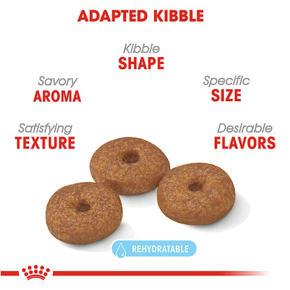 Royal Canin Small Dog Aging 12+ 2.5 libras