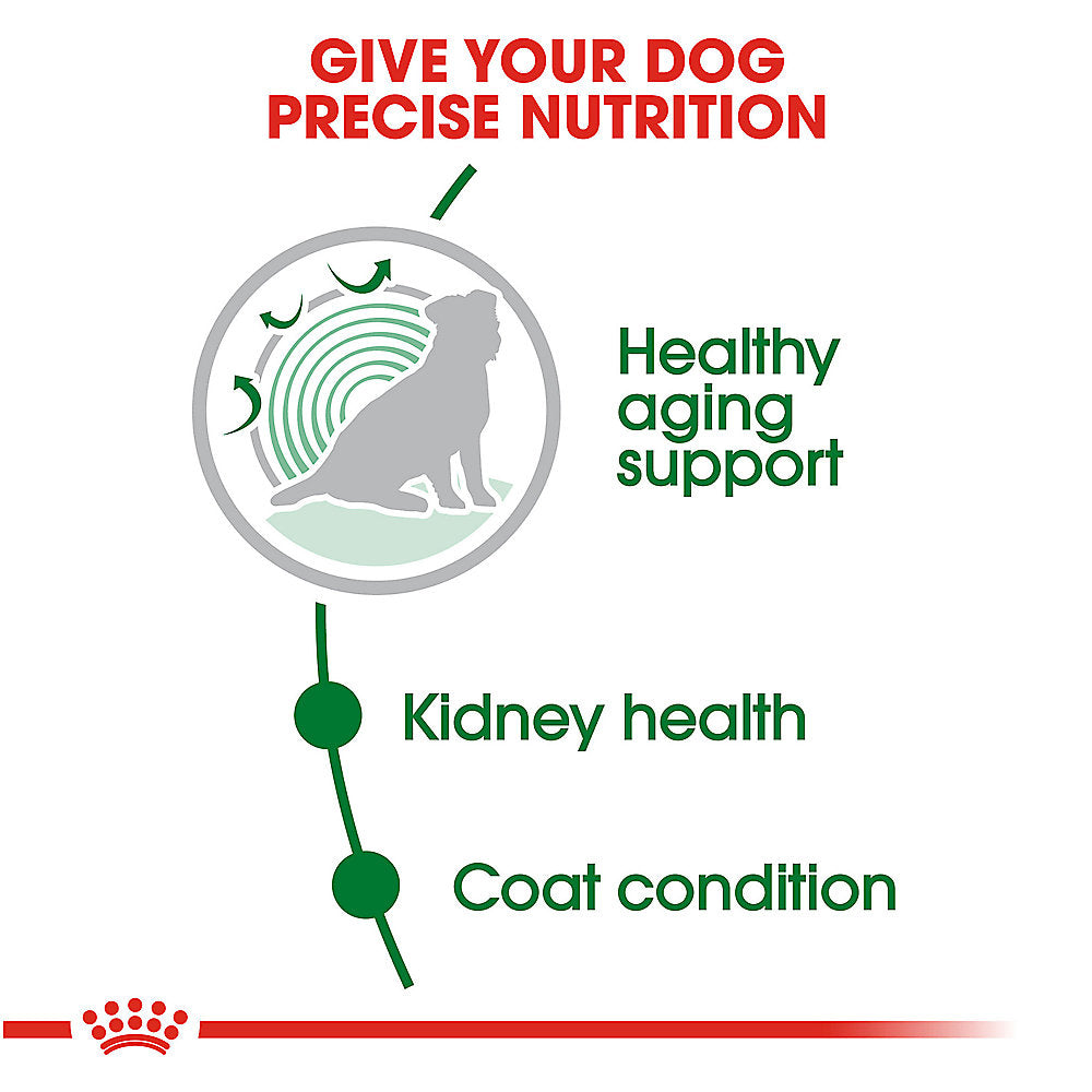 Royal Canin Small Dog Aging 12+ 2.5 libras