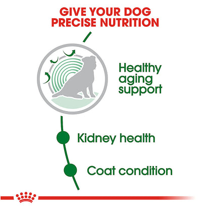 Royal Canin Small Dog Aging 12+ 2.5 libras