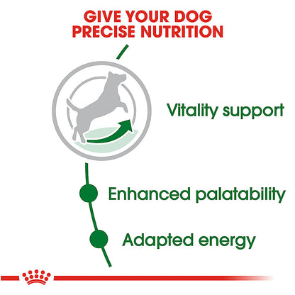 Royal Canin Small Mature +8