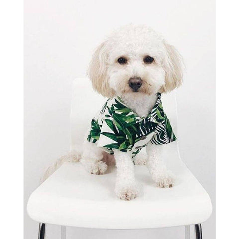 Havana Palms BBQ Shirt for Pups + People — Almost Gone!