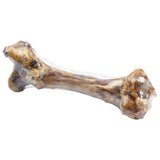 Giant Femur Bone For Dogs – Mammoth Dog Bone For Aggressive Chewers