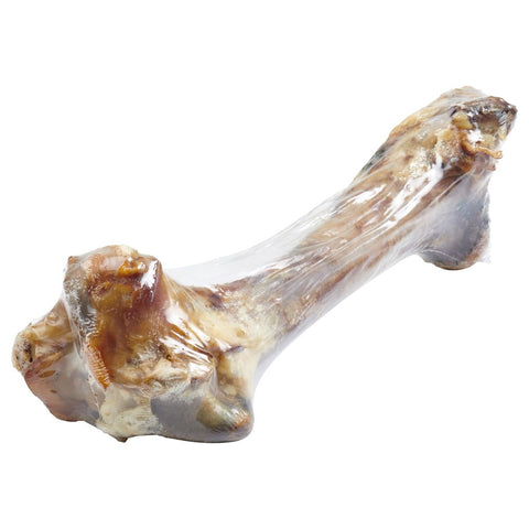 Giant Femur Bone For Dogs – Mammoth Dog Bone For Aggressive Chewers