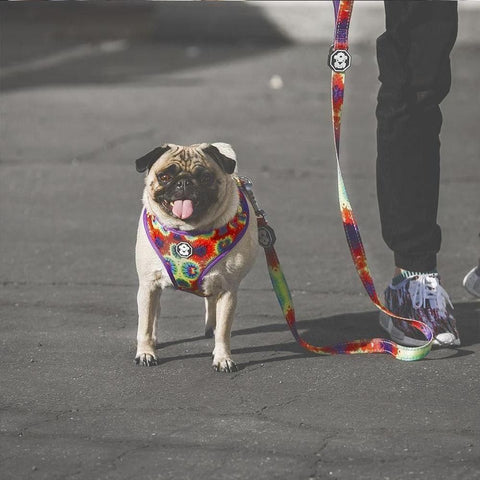 Tie-Dye | Leash