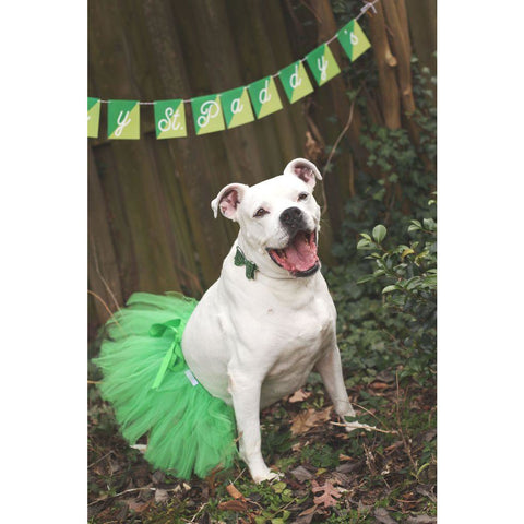 Green Christmas Dog Tutu Skirt | XS-XXXL