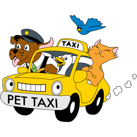 Pet Taxi (Depósito)